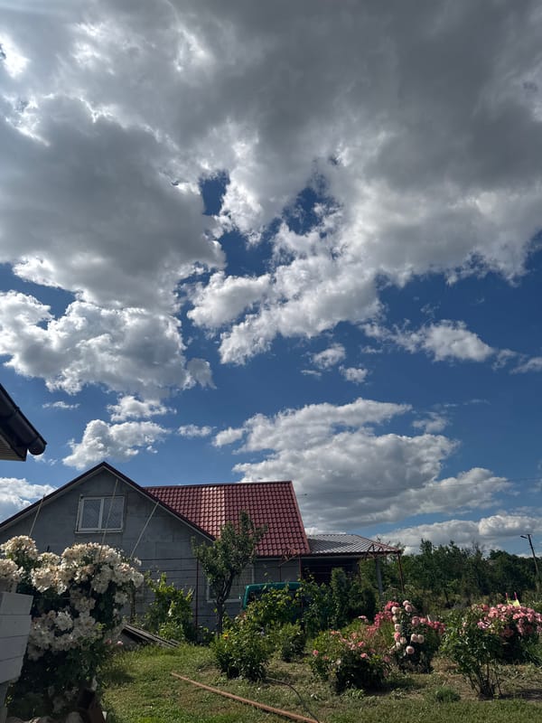 Ducks, ducklings, and roses at a Ukrainian village homestead
