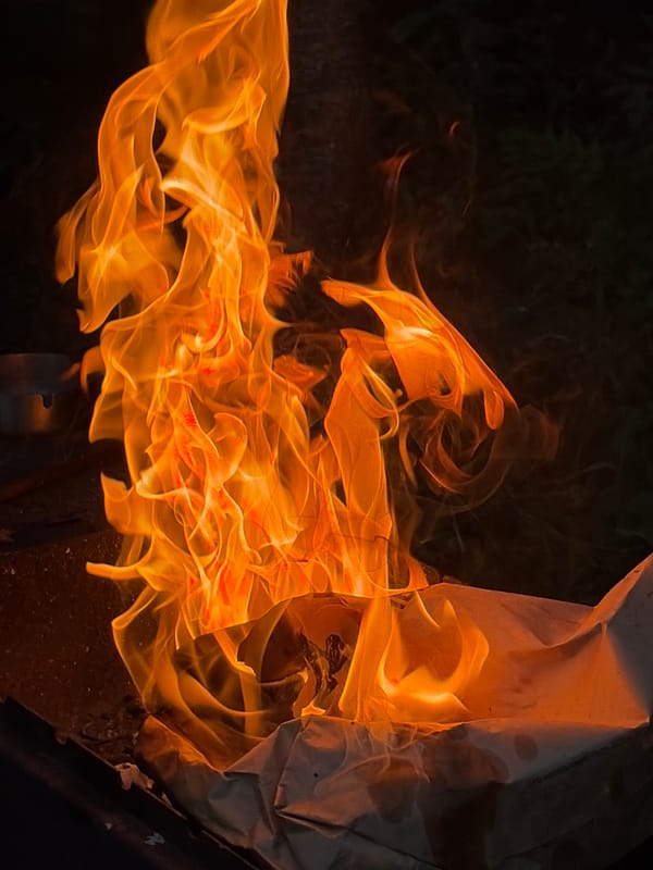 Backyard barbecue gathering documented in Snegiryovka, Russia