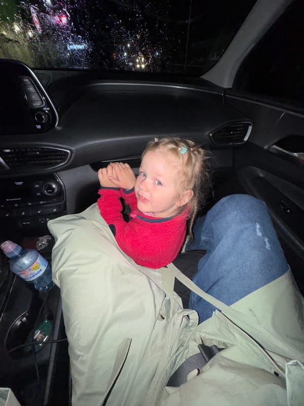 Child and woman observed in vehicle interior in Горный