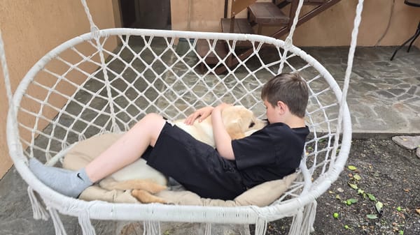 Lazy afternoon in a hammock chair with a golden dog