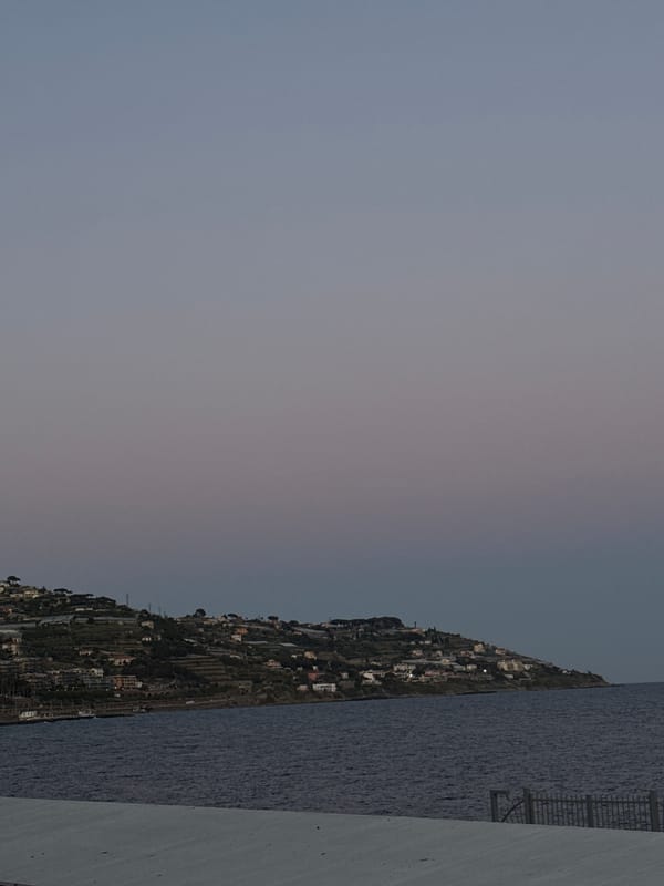 Dog walker strolls waterfront path in Sanremo evening
