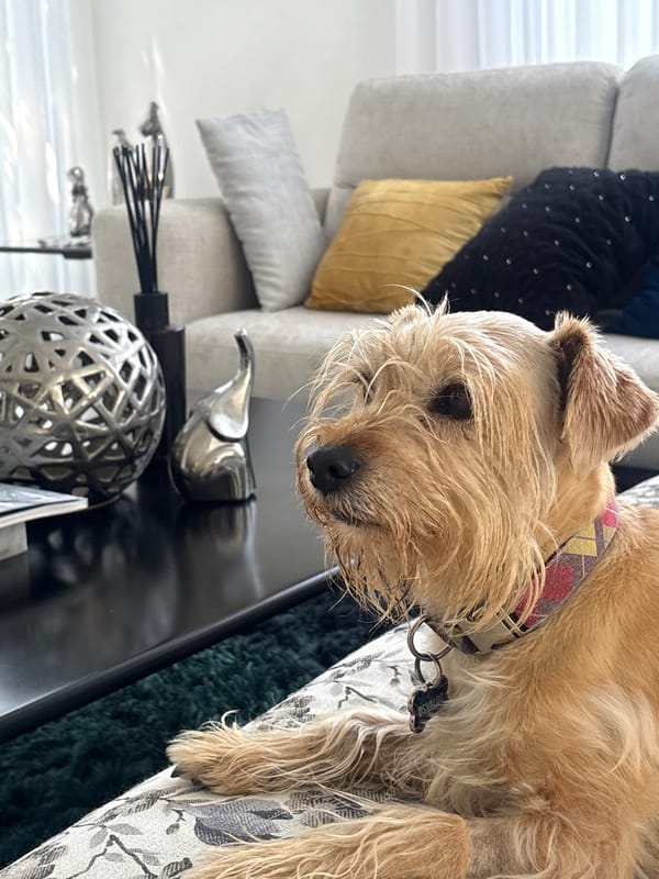 Quiet domestic moments captured in San Bernardino Tlaxcalancingo home