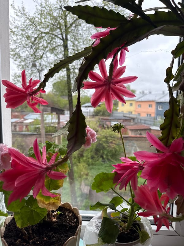 Indoor photograph captures residential view in Votkinsk, Russia