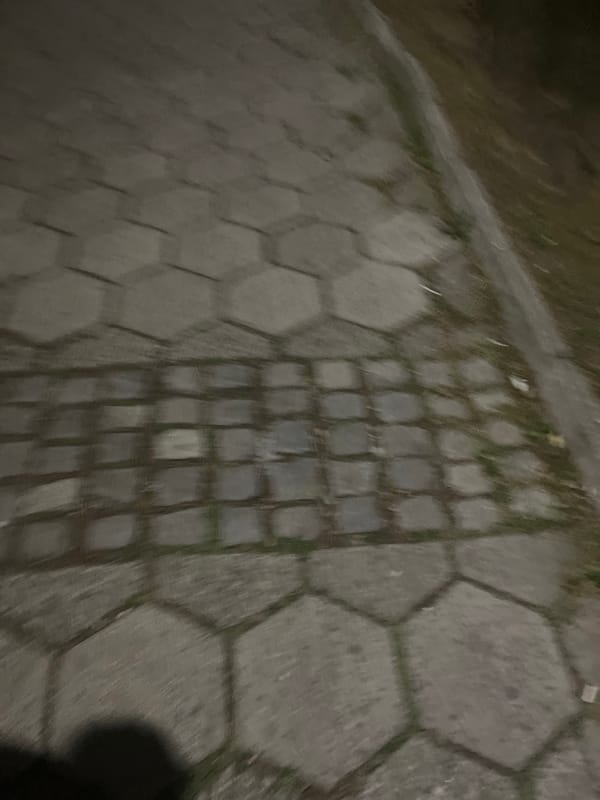 Evening stroll captured through park pathways in Blagoevgrad, Bulgaria