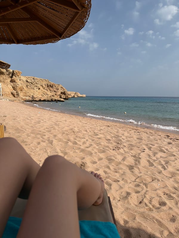 Ordinary Friday afternoon moments captured across Sharm El Sheikh resort