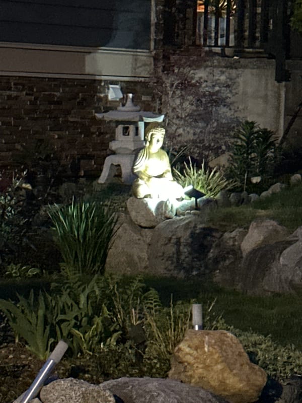 Nighttime garden with pagoda, Buddha statue observed in Coquitlam