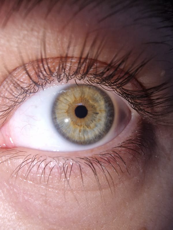 Close-up observations capture human eyes and grape hyacinth flowers