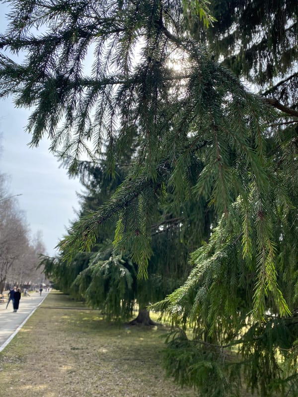 Morning scenes documented across Yekaterinburg, Russia