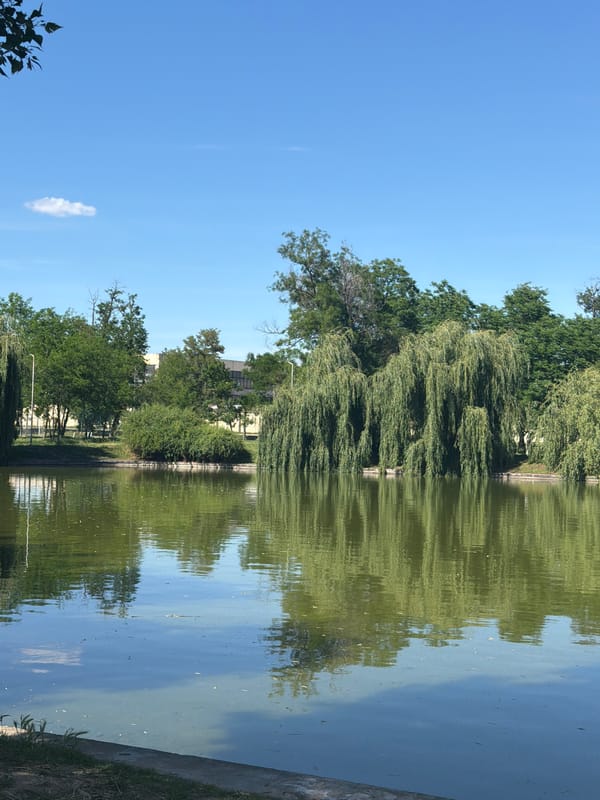 Witness captures serene lakeside park scenes over 39 minutes