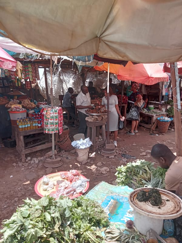 Morning market activity documented in Sabon Tasha, Nigeria