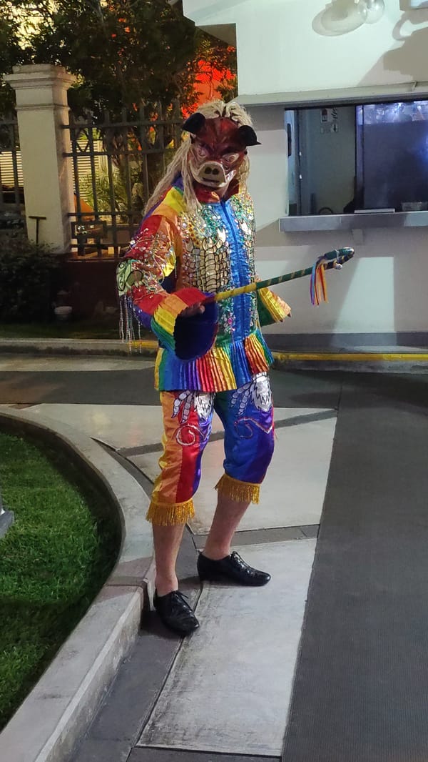 Ornate carnival costume with pig mask, Miraflores night scene