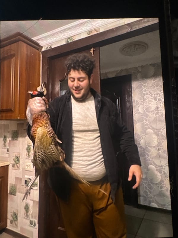 Everyday life across Rostov-on-Don in one afternoon