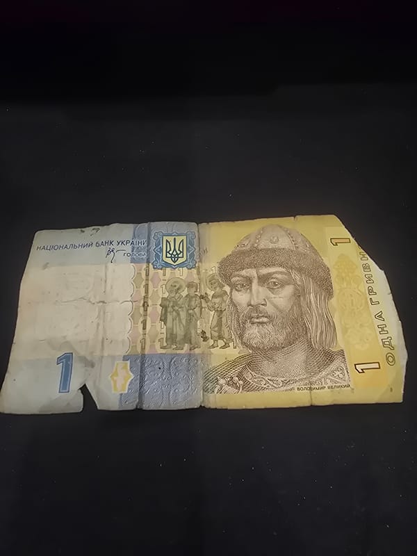 Ukrainian banknotes and coins laid out for close inspection