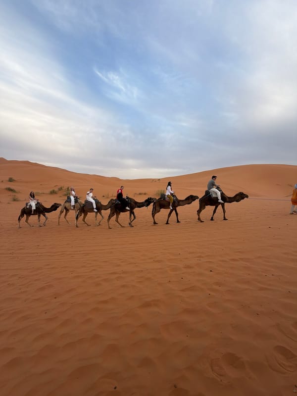 Tourists enjoy camel trek through Rissani desert dunes