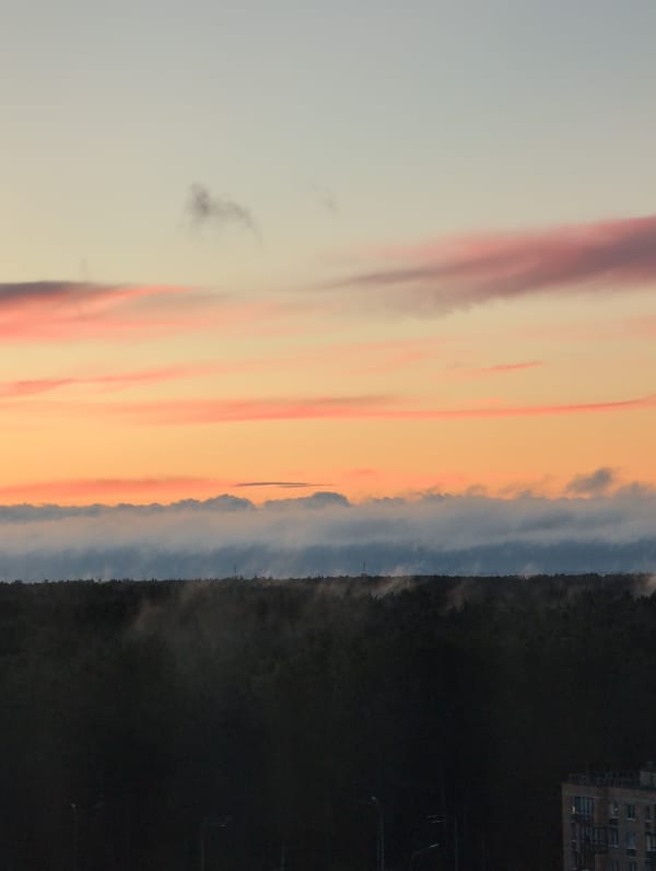 Saint Petersburg sunset paints the sky above residential blocks