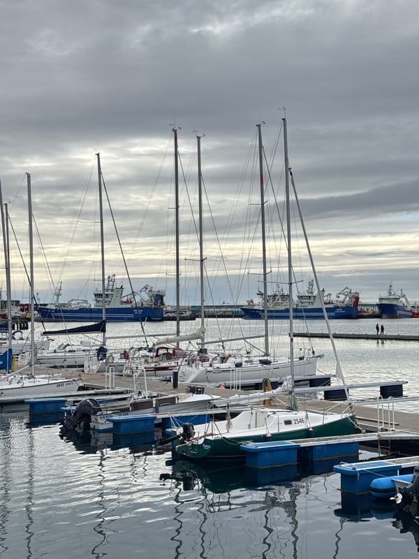 Witness captures everyday Reykjavik harbor and street scenes