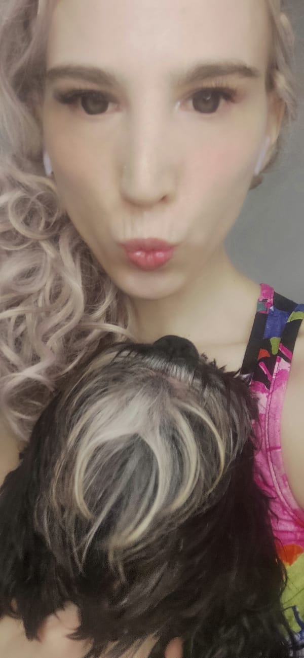 Woman and Shih Tzu share quiet evening moments in Chaikovsky