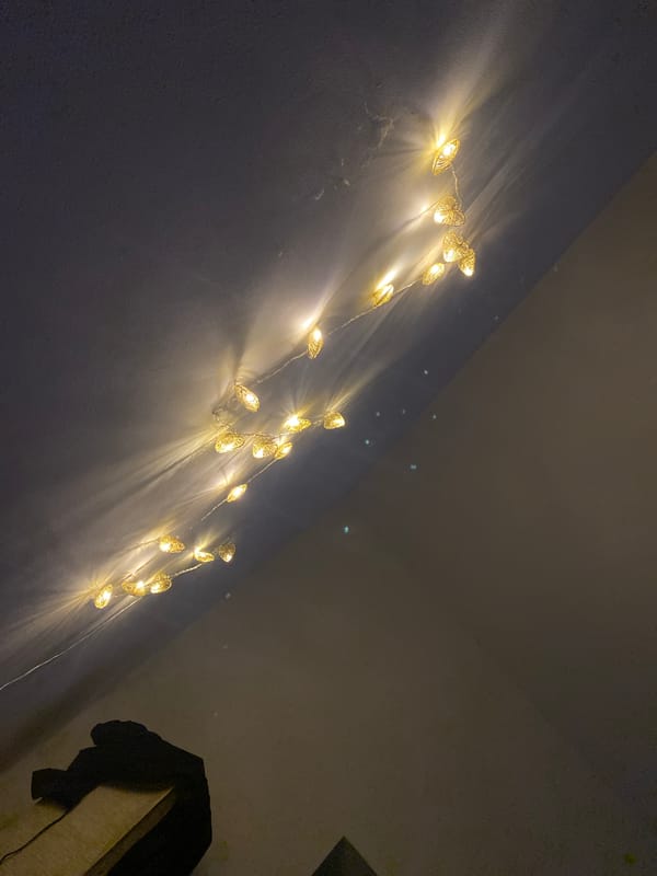 Grey cat, fairy lights, and Paris gifts in a Koblenz home
