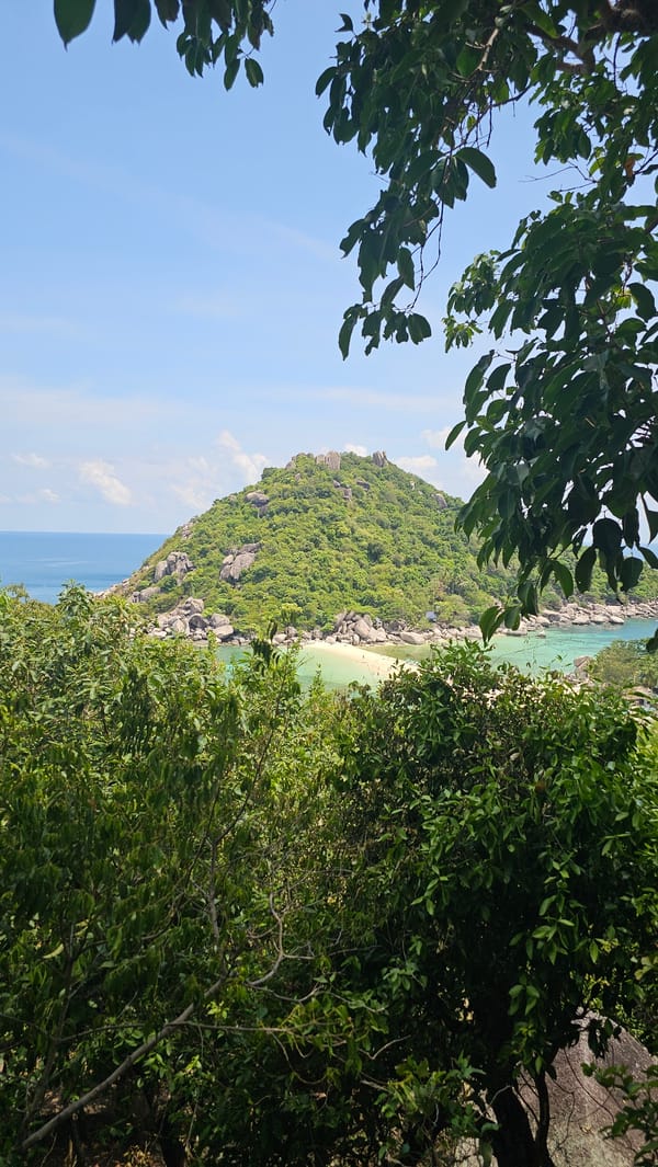 Group gathers at rocky Ko Tao headland before dawn