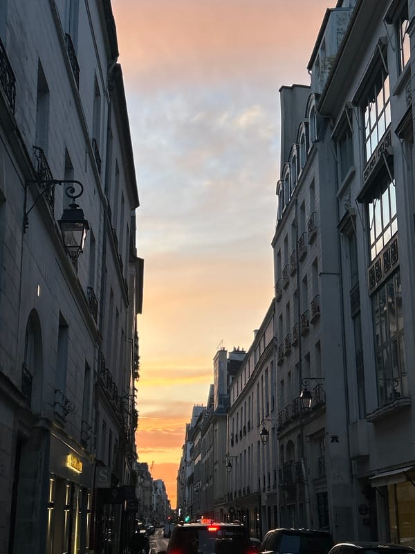Twilight gradient observed between ornate city buildings