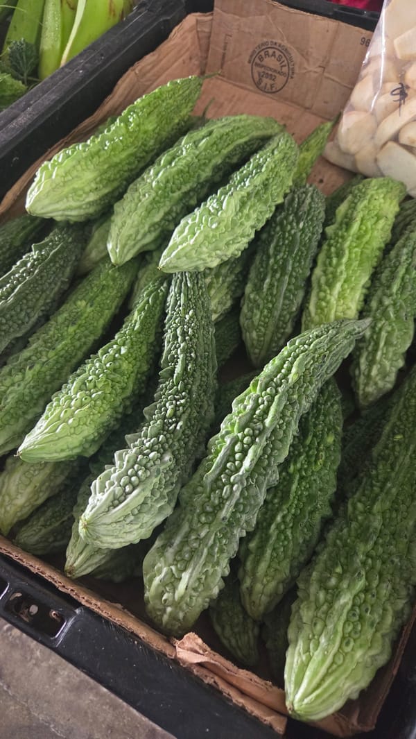 Morning glimpses of everyday Singapore neighborhood life captured