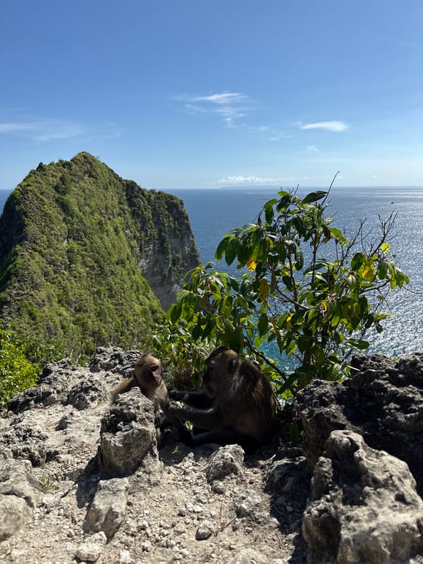 Tourists document famous T-Rex cliff at Kelingking Beach