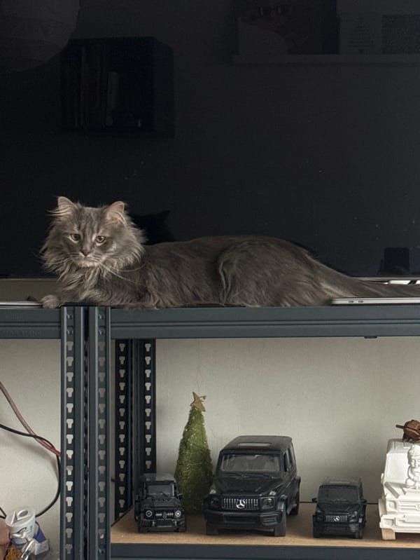 Moscow resident documents morning routine with cat and meal