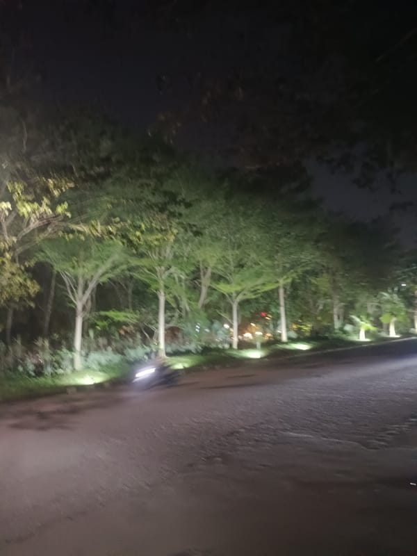 Nighttime urban journey documented through illuminated city streets