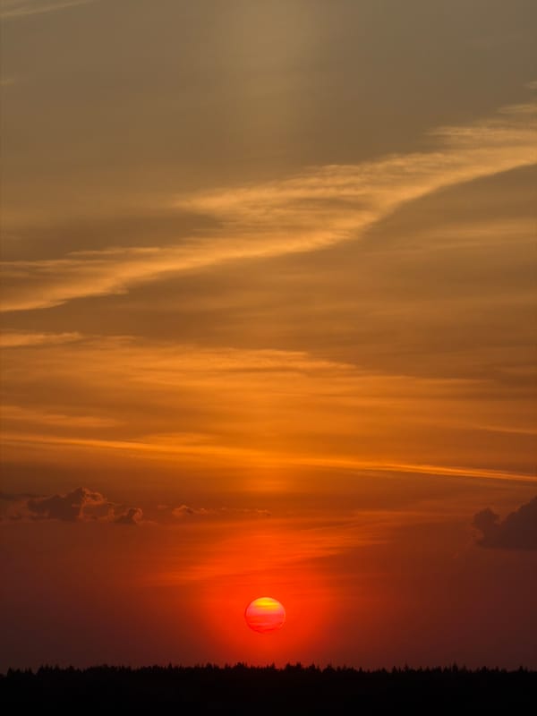 Witness captures spring blooms and sunset during afternoon documentation