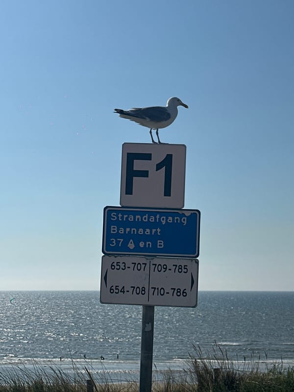 Zandvoort beach in full summer swing, F1 signage and all