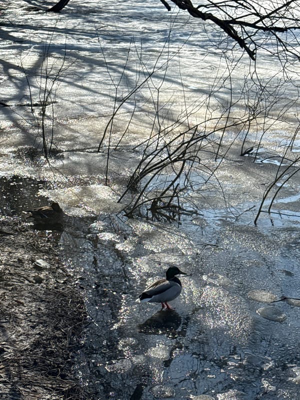 Woman documents leisurely afternoon at Moscow waterfront park