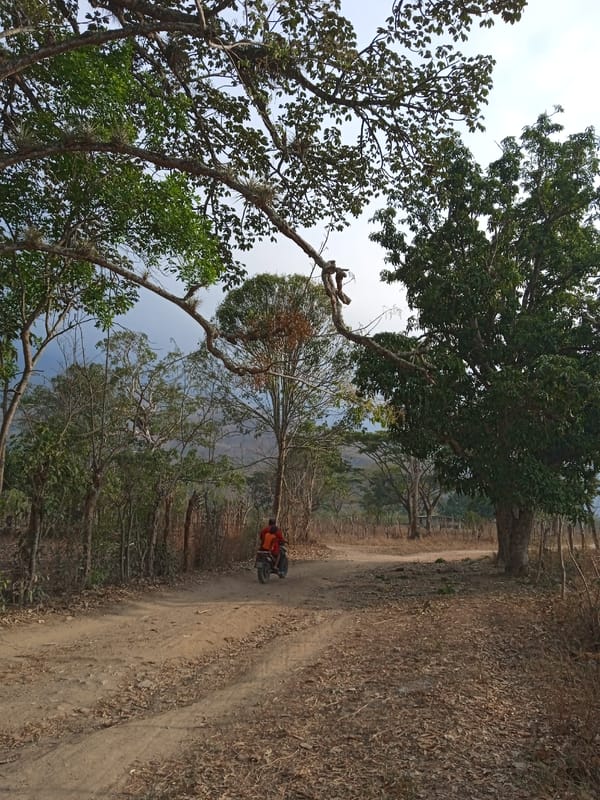 Rural life documented in Montalbán Venezuela countryside scenes