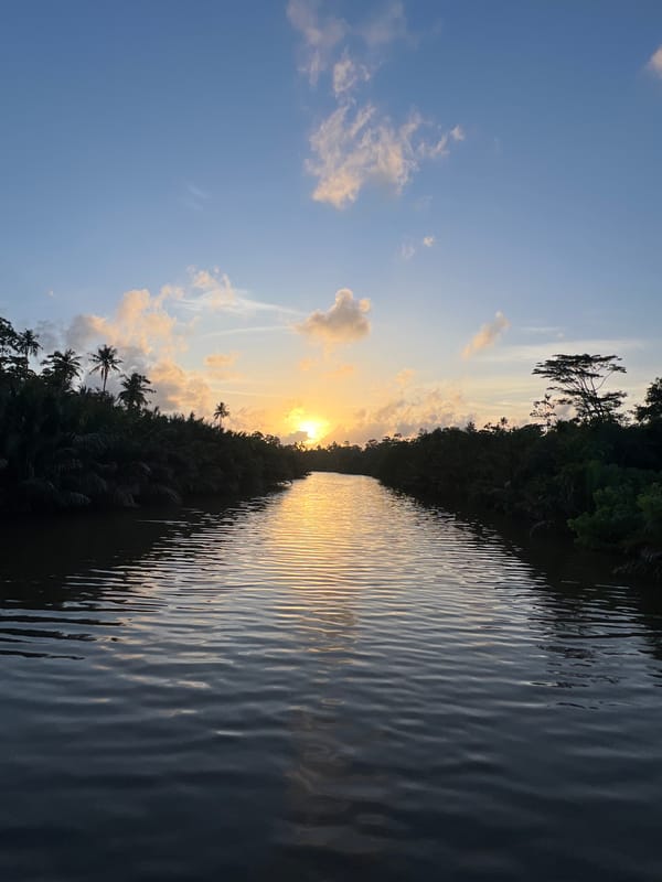 Sunset light plays across a Sri Lankan river at dusk