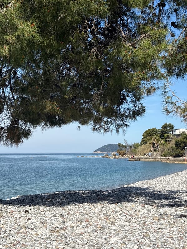 Morning scenes documented along Bar Montenegro waterfront and surroundings