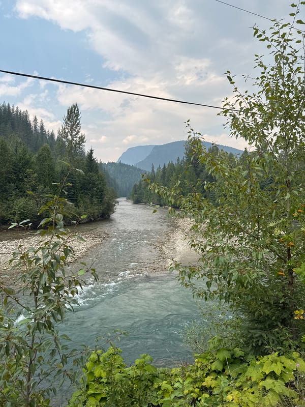 Wide river flows past rocky shores in BC's forested interior