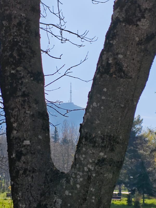 Morning street scenes documented in Pyatigorsk, Russia