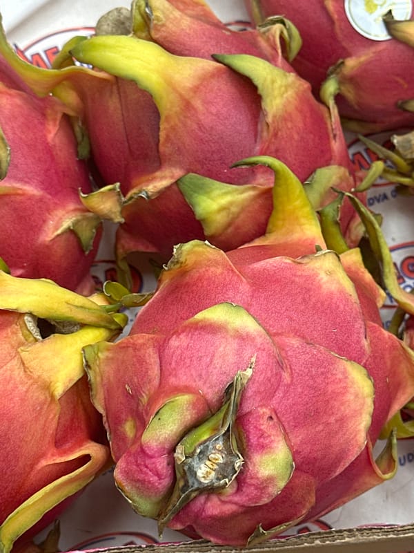 Fresh produce and flowers documented at Budva market