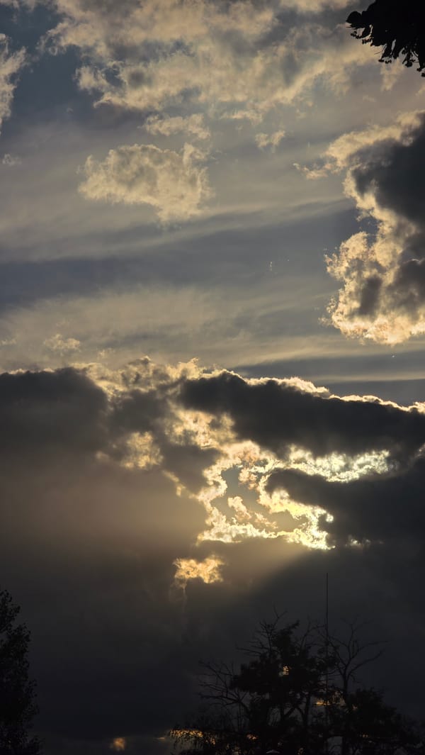 Fluffy white dog and stormy skies over Blagoevgrad