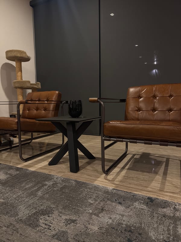 Modern home interior with Siamese cat in Mexico