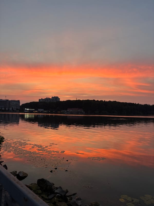 Ternopil at golden hour — lake, wildlife, and city streets