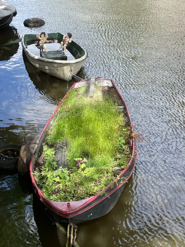 Tourist documents Amsterdam canal district scenes during sunny afternoon