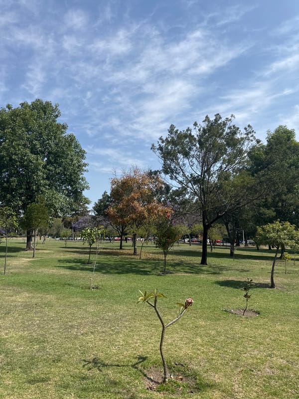 Clear skies over San Andrés Cholula park scene documented