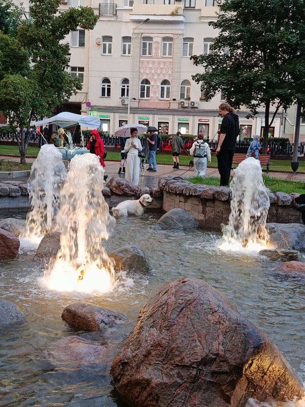 Dogs splash in fountains at a relaxed urban square