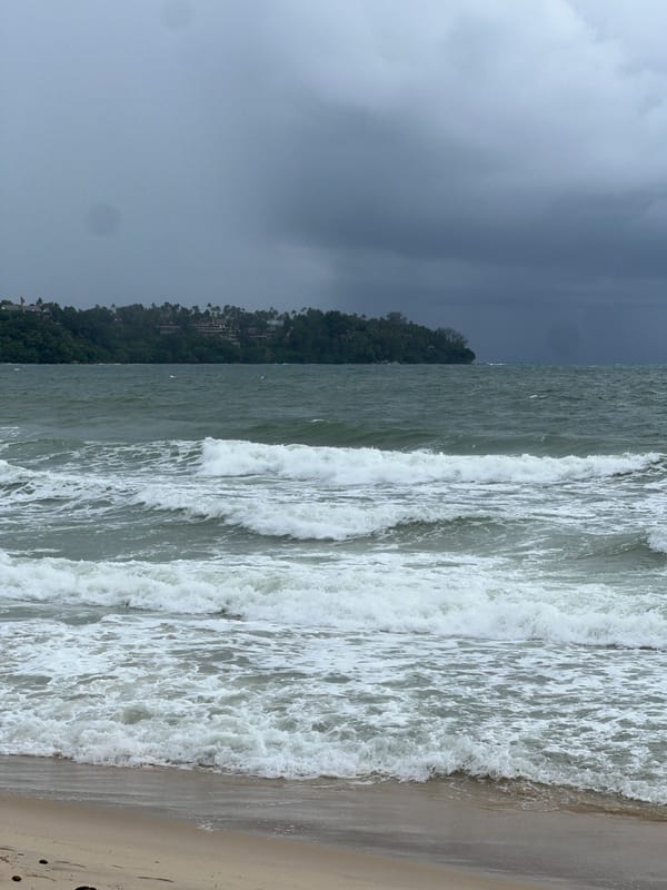 Stormy beach scene with waves, chicken, vendor truck documented