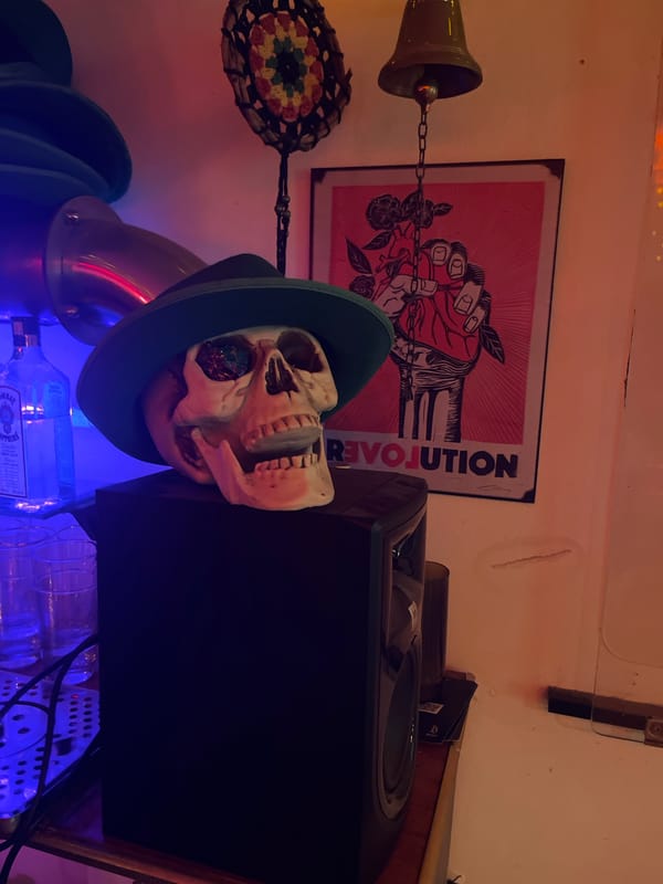 Skull display with gin bottles documented in Cordoba, Argentina