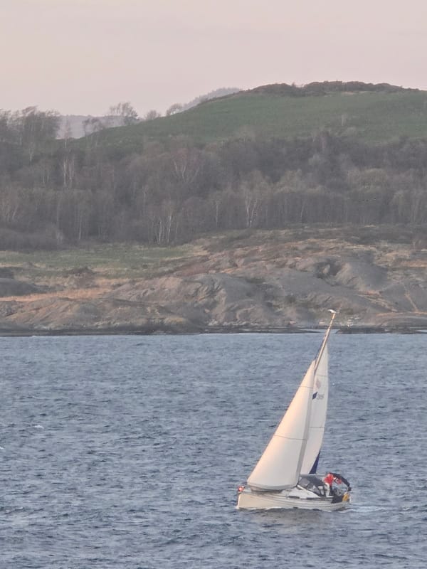 Sailboat spotted on water near shoreline