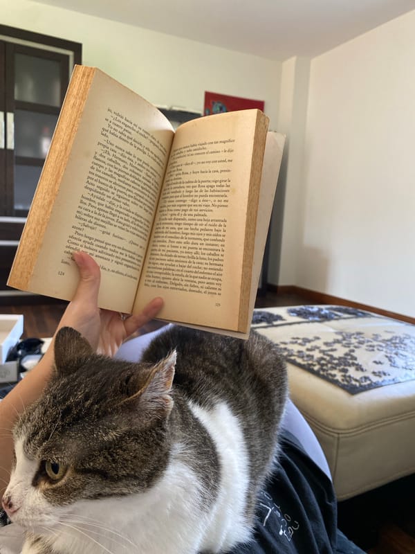 Woman enjoys quiet afternoon reading with cat in Villaviciosa