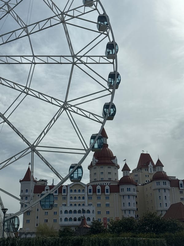 Ferris wheel and yellow building observed in Sirius, Russia