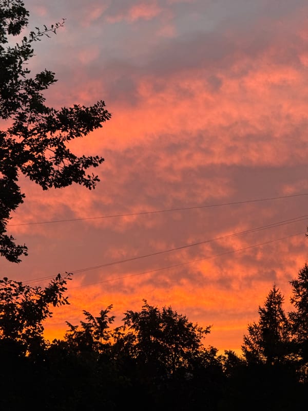 Riga skyline at sunset, sky lit orange and pink