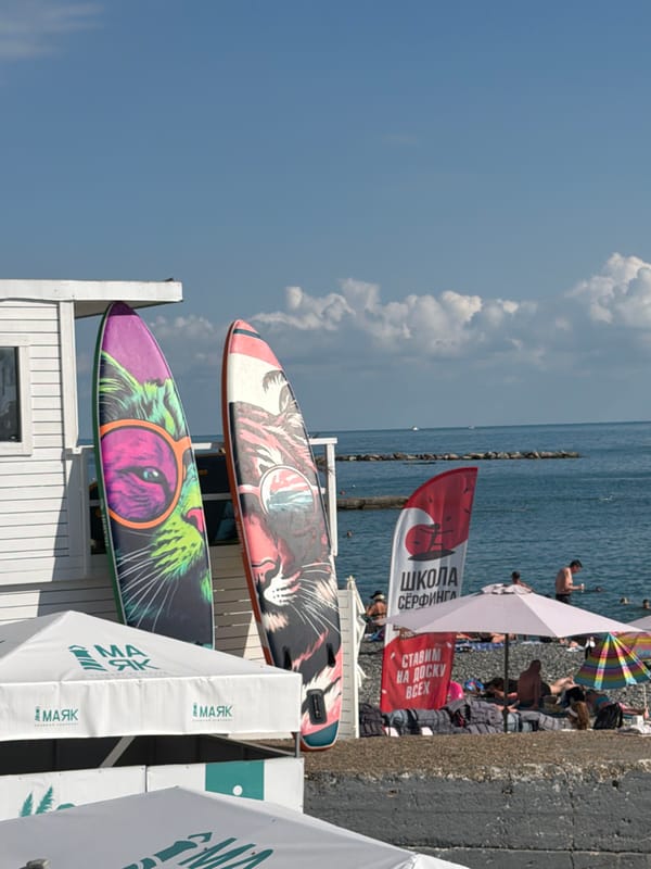 Sochi seafront in full swing on a summer afternoon
